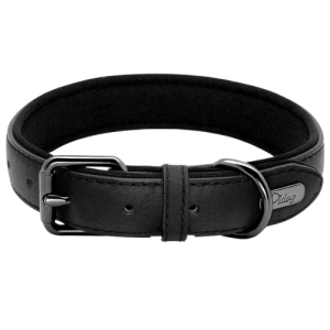 PADDED LEATHER COLLAR